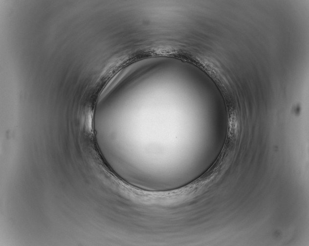 X0000090500046200707280010