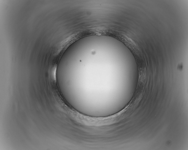 X0000090500047200707280010