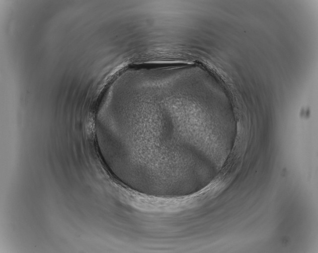 X0000090500048200707280010