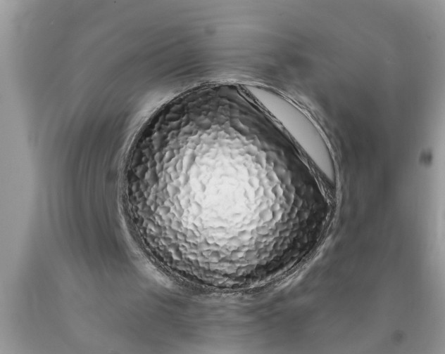 X0000090500049200707280009