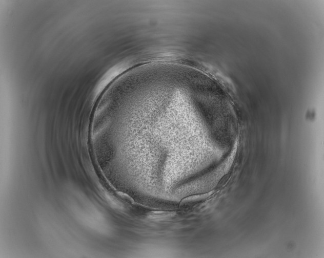 X0000090500051200707280010