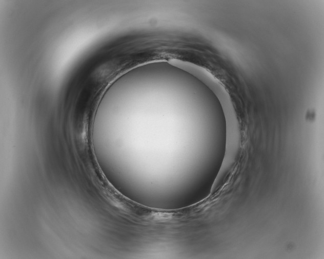 X0000090500052200707280010