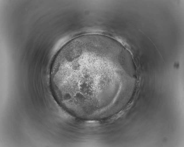 X0000090500053200707280010