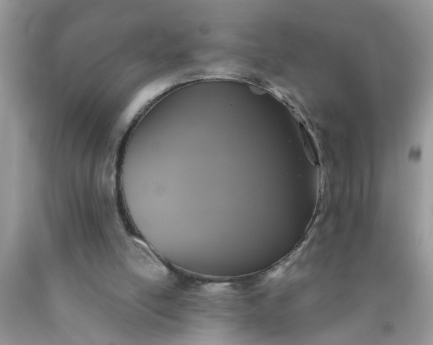 X0000090500054200707280010