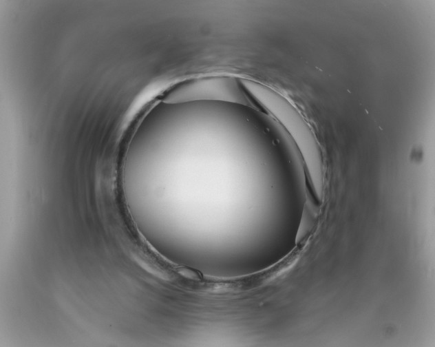 X0000090500056200707280010