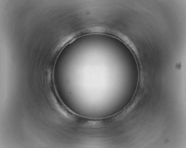 X0000090500057200707280010