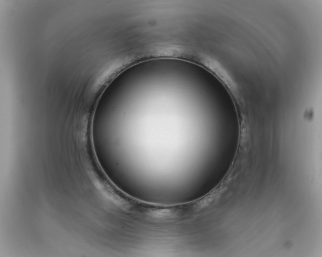 X0000090500058200707280010