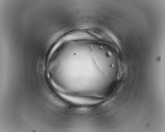 X0000090500059200707280010