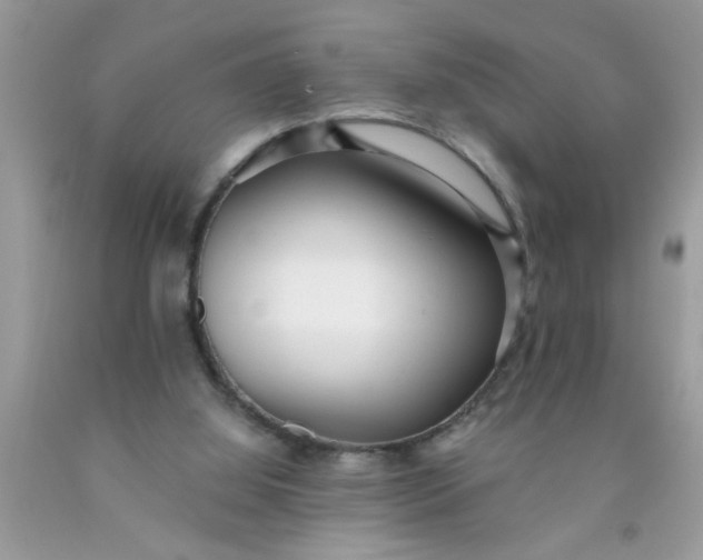 X0000090500060200707280010