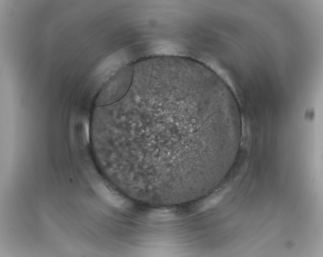 X0000090500061200707280010