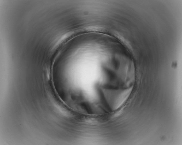 X0000090500062200707280010