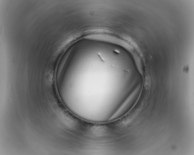 X0000090500063200707280010