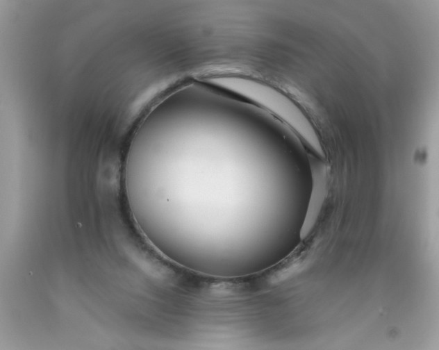 X0000090500064200707280010