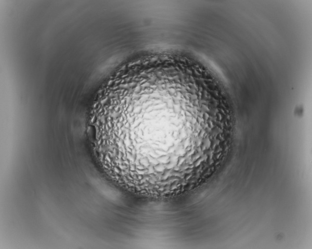 X0000090500065200707280010