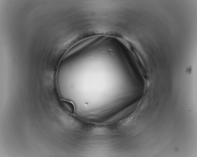 X0000090500066200707280010