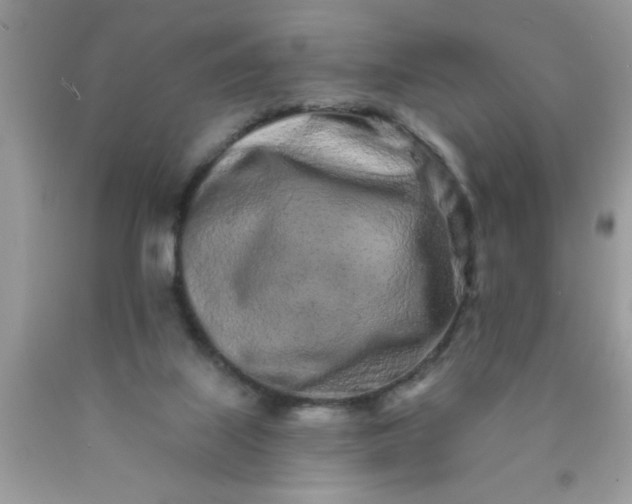 X0000090500067200707280010