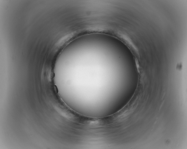 X0000090500068200707280010