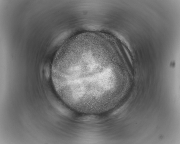 X0000090500069200707280010