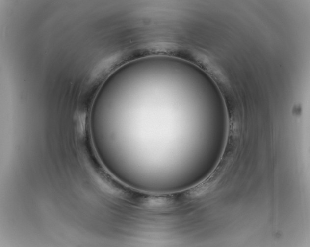 X0000090500070200707280010