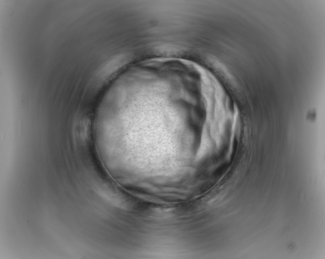 X0000090500071200707280010