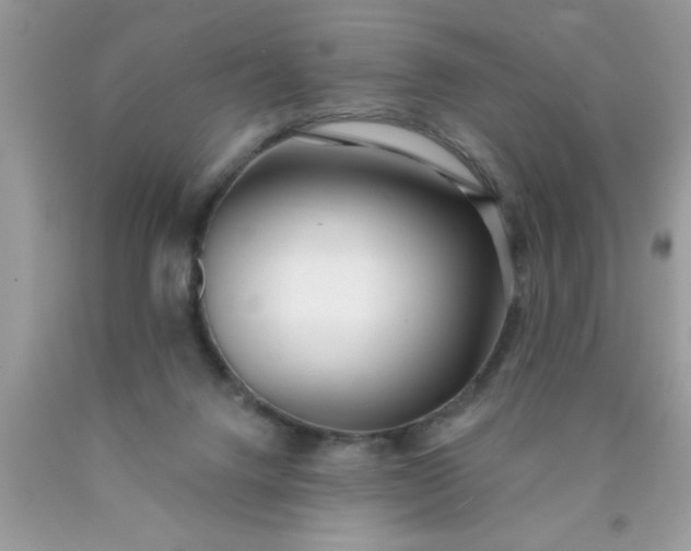 X0000090500072200707280010