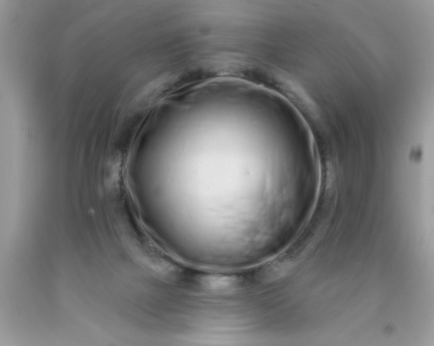 X0000090500073200707280010