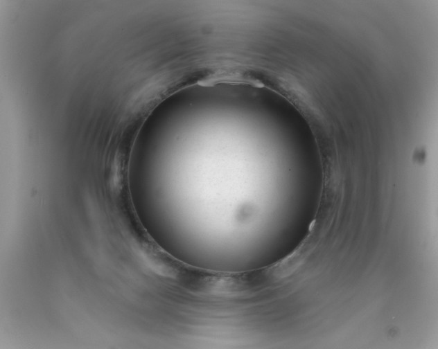 X0000090500074200707280010