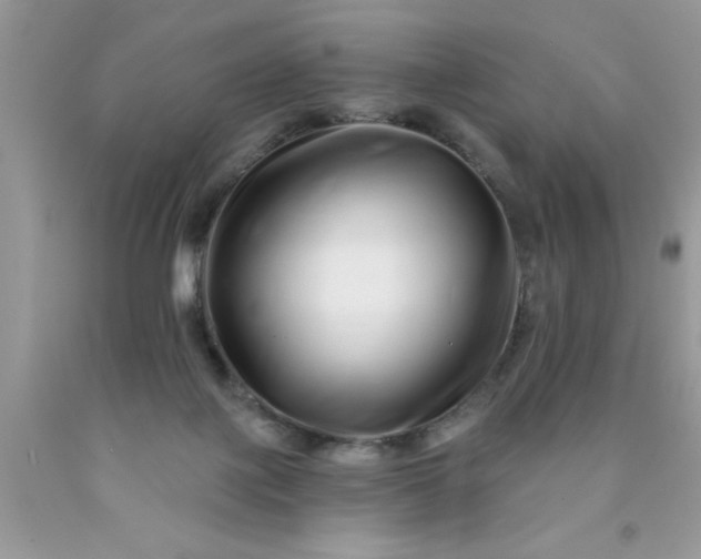 X0000090500075200707280010