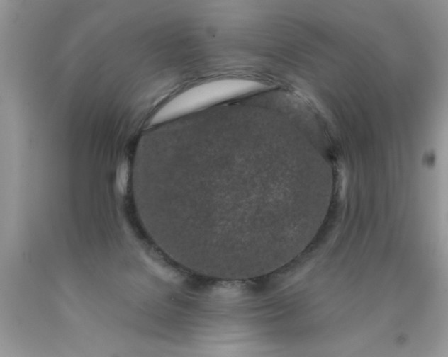 X0000090500076200707280010