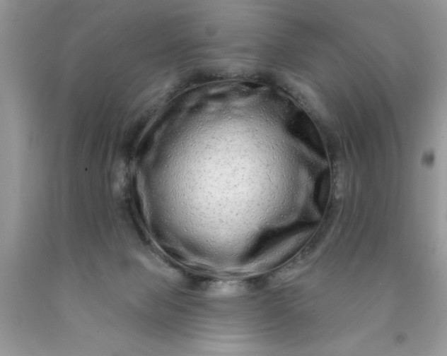 X0000090500077200707280010