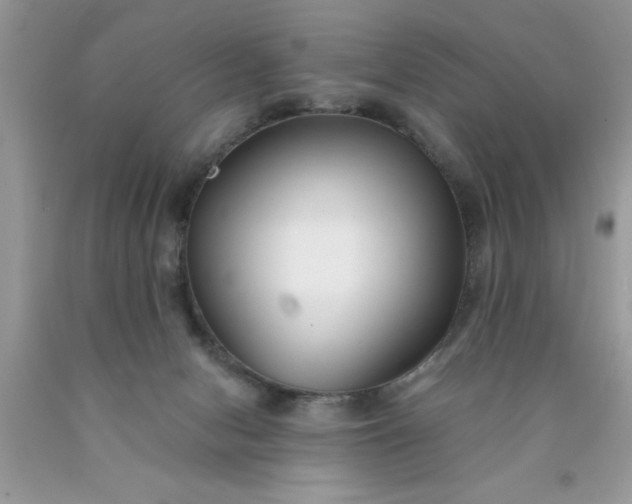 X0000090500078200707280010