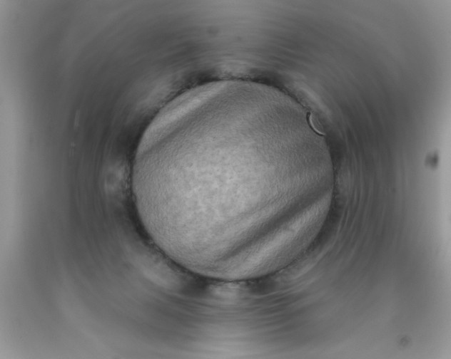 X0000090500079200707280010