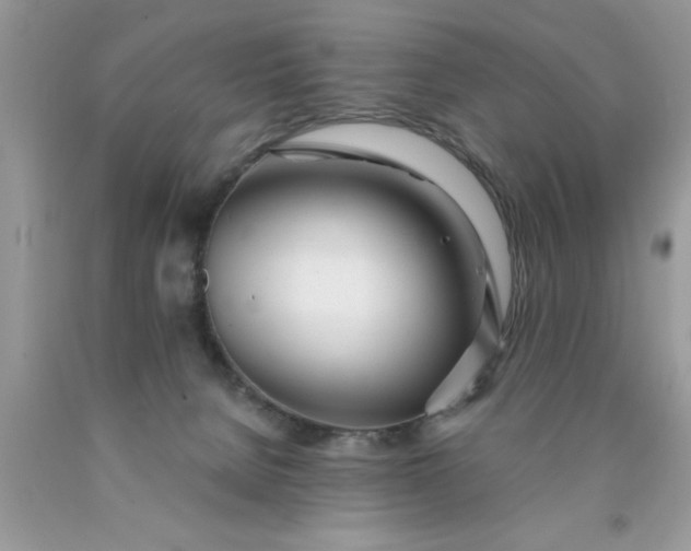 X0000090500080200707280010