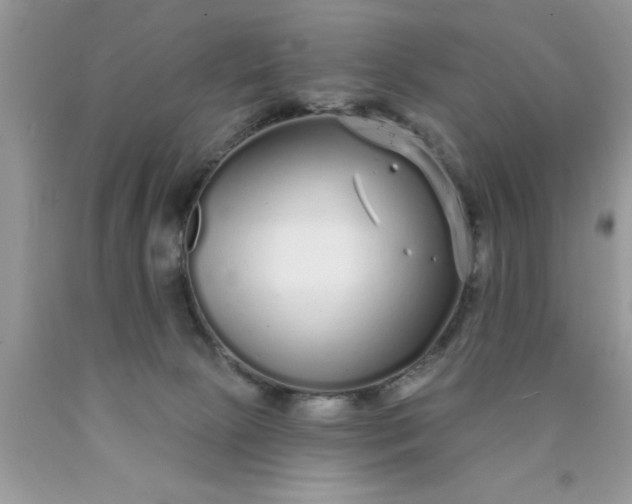 X0000090500081200707280010