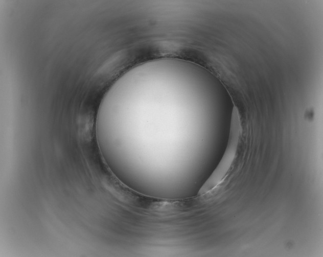 X0000090500082200707280010