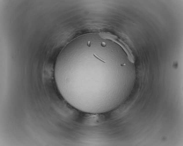 X0000090500083200707280010