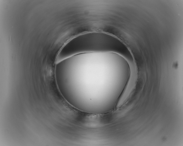 X0000090500084200707280010