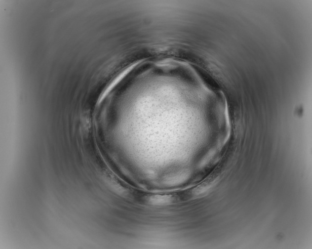 X0000090500085200707280010