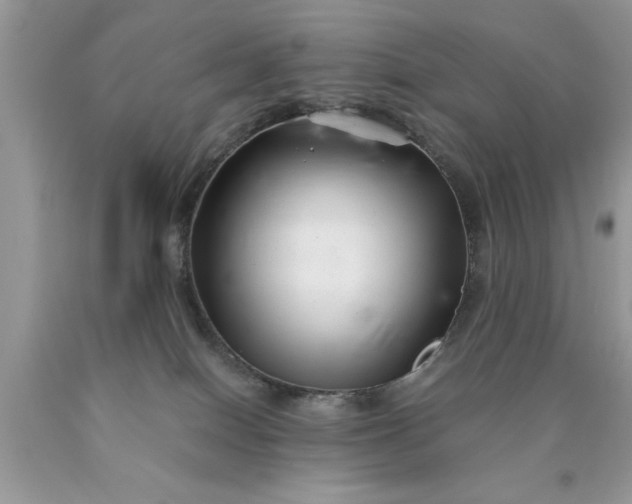 X0000090500086200707280010