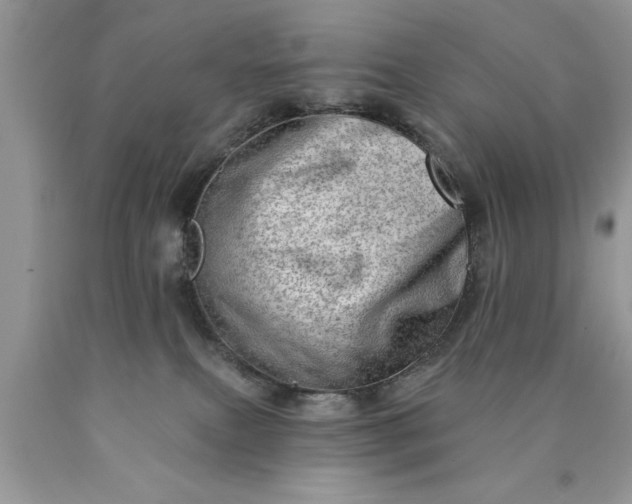 X0000090500087200707280010