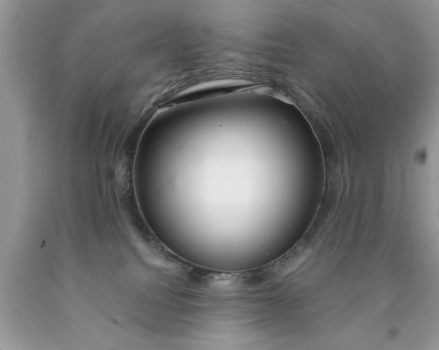 X0000090500088200707280010