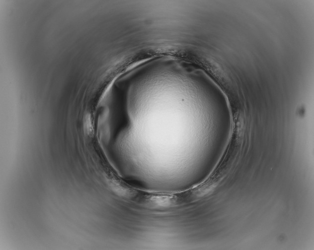 X0000090500089200707280010