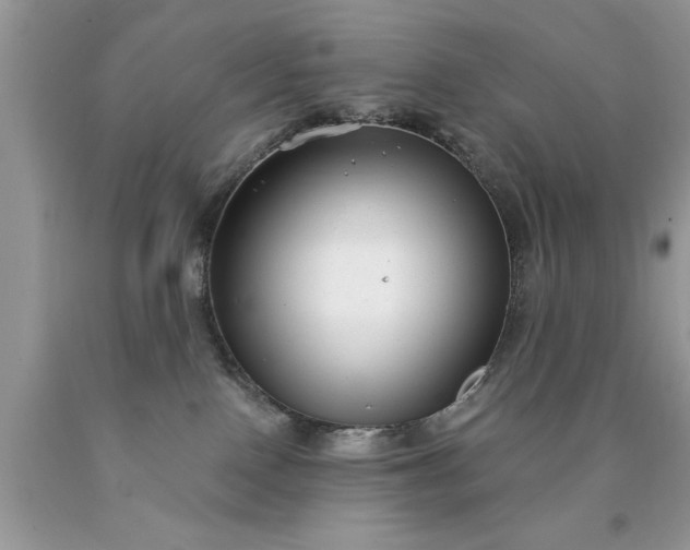 X0000090500090200707280010