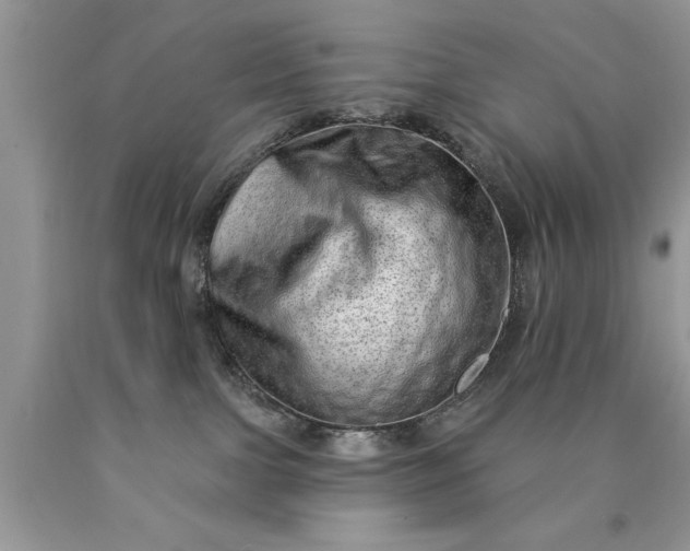 X0000090500091200707280010