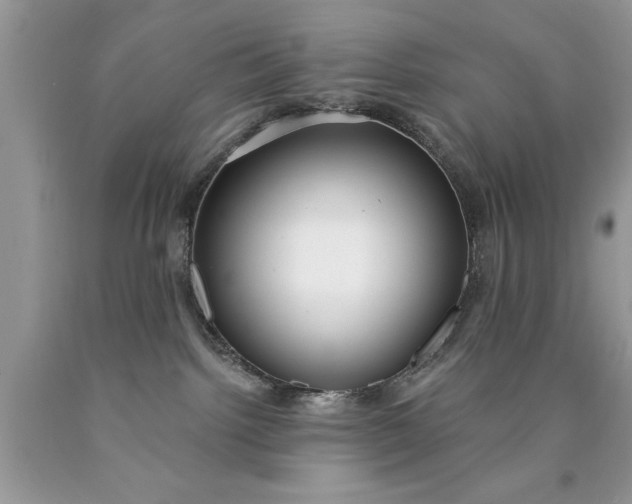 X0000090500092200707280010