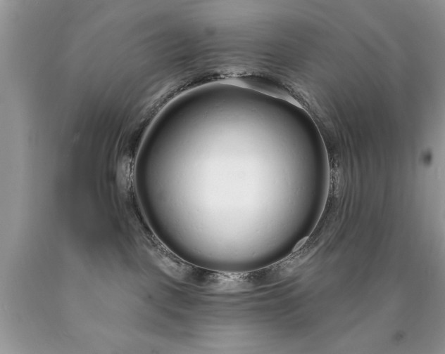 X0000090500093200707280010