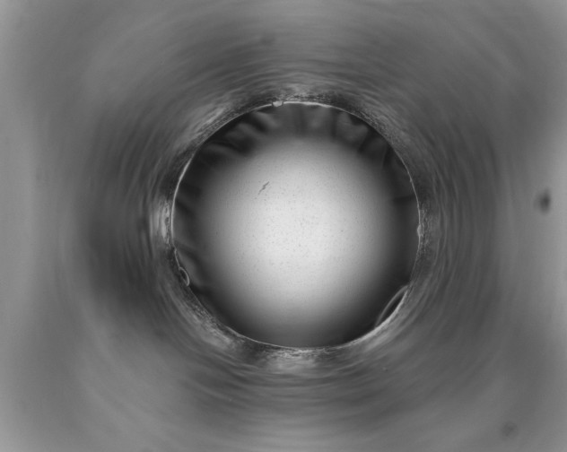 X0000090500094200707280010