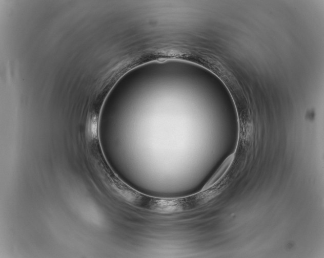 X0000090500095200707280010