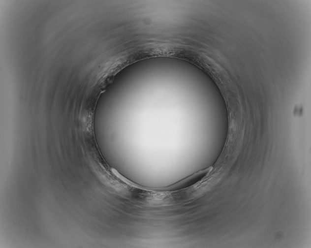 X0000090500096200707280010