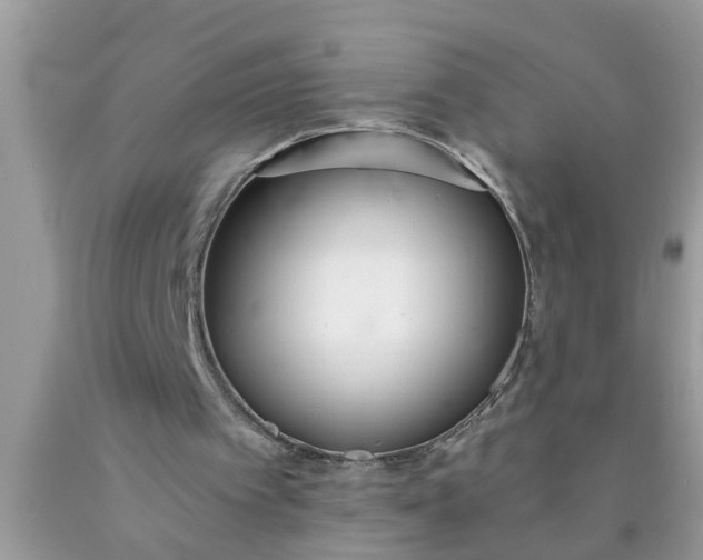 X0000090500097200707280009